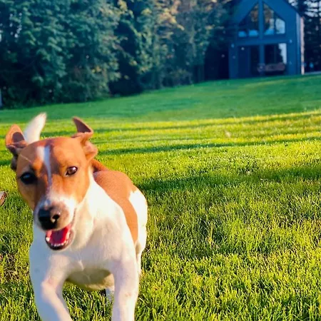 Okno Na Wode- Caloroczne Z Linia Brzegowa Jeziora I Sauna *